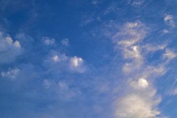 562D8D3A-EFB4-4920-BC5E-0FC55AF7D567/L0/001