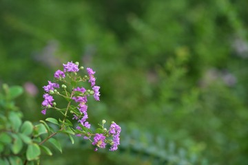 F4BD8642-8219-4820-A04B-B2C28794C223/L0/001