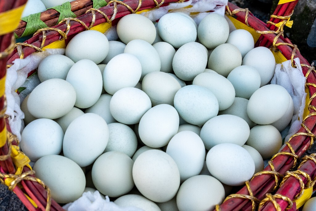 鸭蛋(Duck's egg) 鸭子 鸭卵 太平 鸭春 青皮 蛋 绿皮鸭蛋