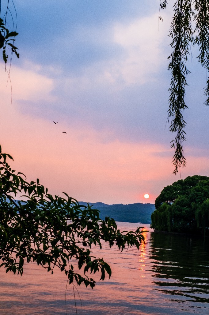 夕阳 西湖夕阳 风光 自然 日出日落 阳光 鸟 夕阳余晖 夕阳无限好 旅行