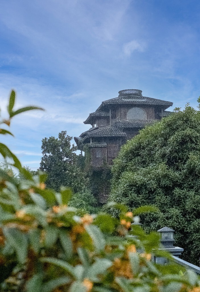 桂花 建筑 汤屋 风光 网红建筑 摄影 盛开的桂花