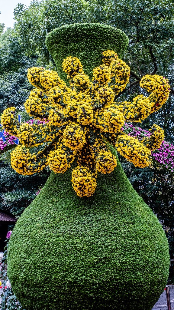 菊花 寿客 金英 黄华 秋菊 陶菊 日精 女华 延年 隐逸花 家菊 花儿 盛开的菊花