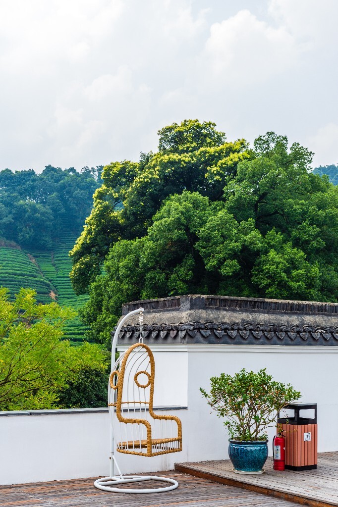 建筑 茶园风光 自然 风光 茶园 梅坞 摄影 旅行 梅坞庄园