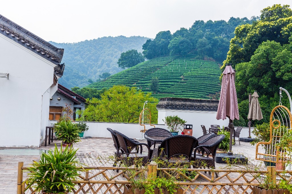 建筑 茶园风光 自然 风光 茶园 梅坞 摄影 旅行 梅坞庄园