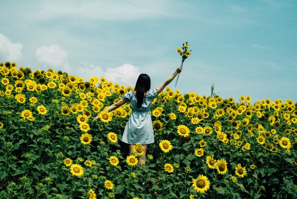 背影 人像 风光 自然 植物 花朵 向日葵 花海 旅行