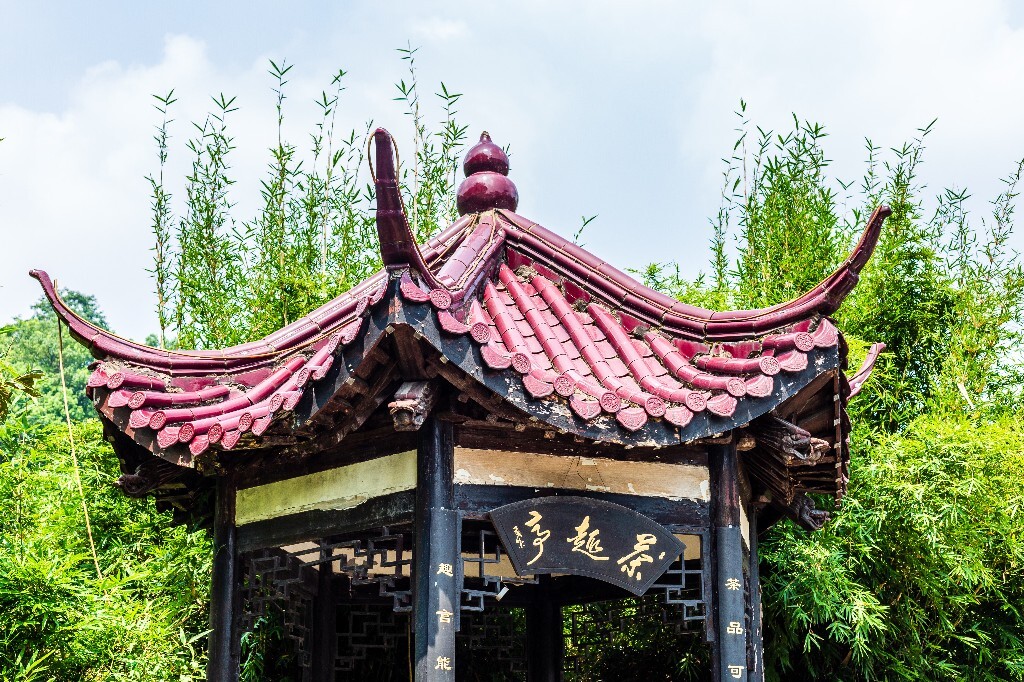 茶园风光 自然 风光 摄影 自然风光 龙井茶园 建筑 茶趣亭 亭子