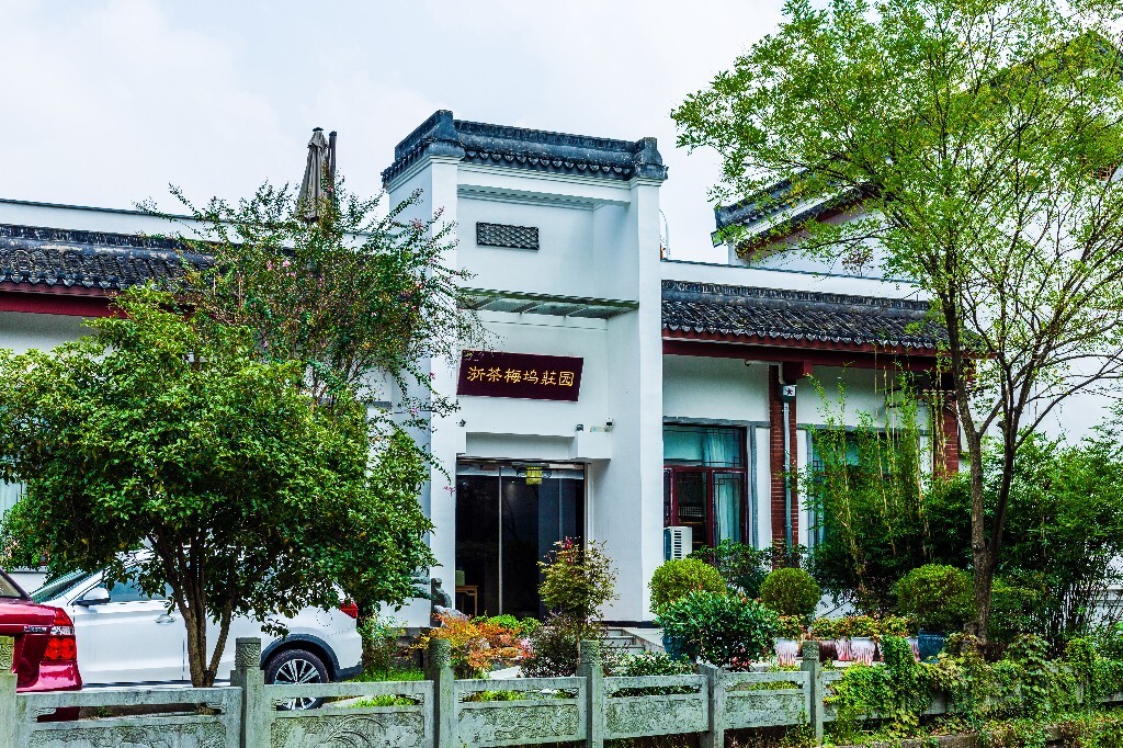 梅坞问茶 茶园 龙茶园 茶文化 风光 摄影 自然 旅行 浙茶梅坞庄园