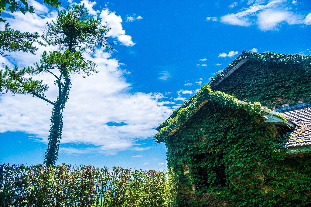 蓝天白云 天空云彩 自然 风光 摄影 旅行 旅游 蓝天