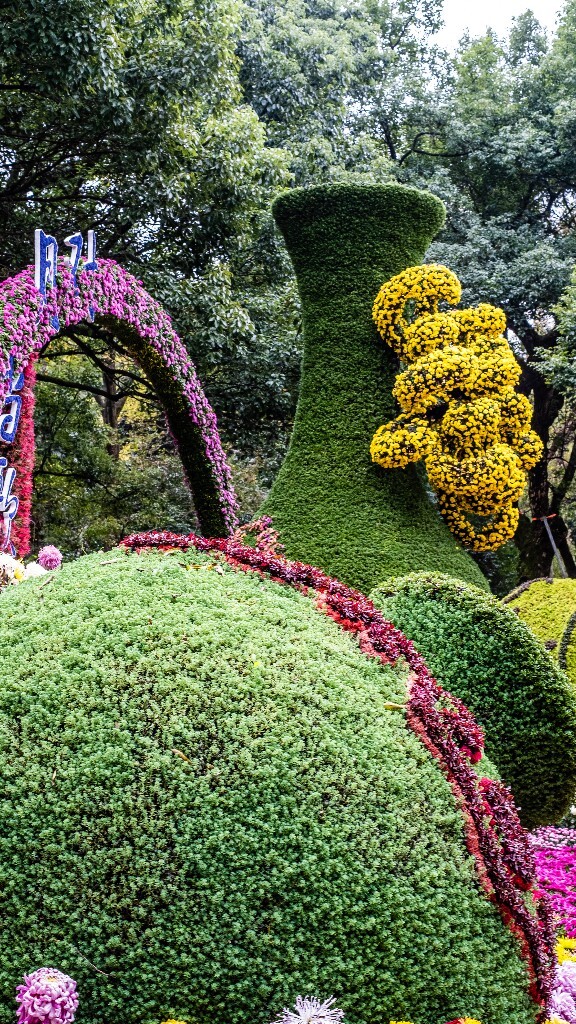 菊花 寿客 金英 黄华 秋菊 陶菊 日精 女华 延年 隐逸花 家菊 花儿 盛开的菊花