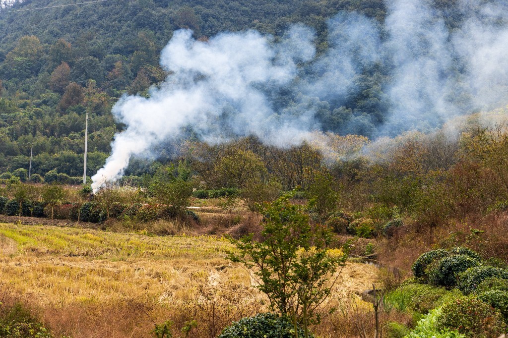 烟 炊烟 田园 自然 风光 摄影  旅行