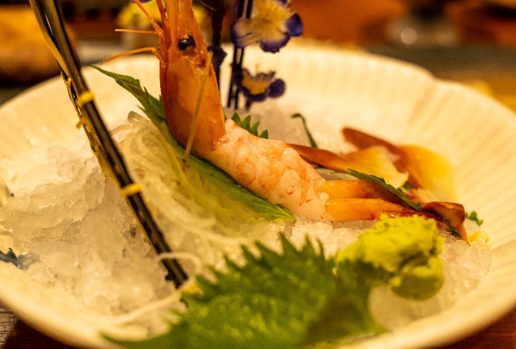 三文鱼 大马哈鱼 北鳟鱼 罗锅鱼 马哈鱼 麻糕鱼 日料 食物 美食 静物 美食摄影 旅行