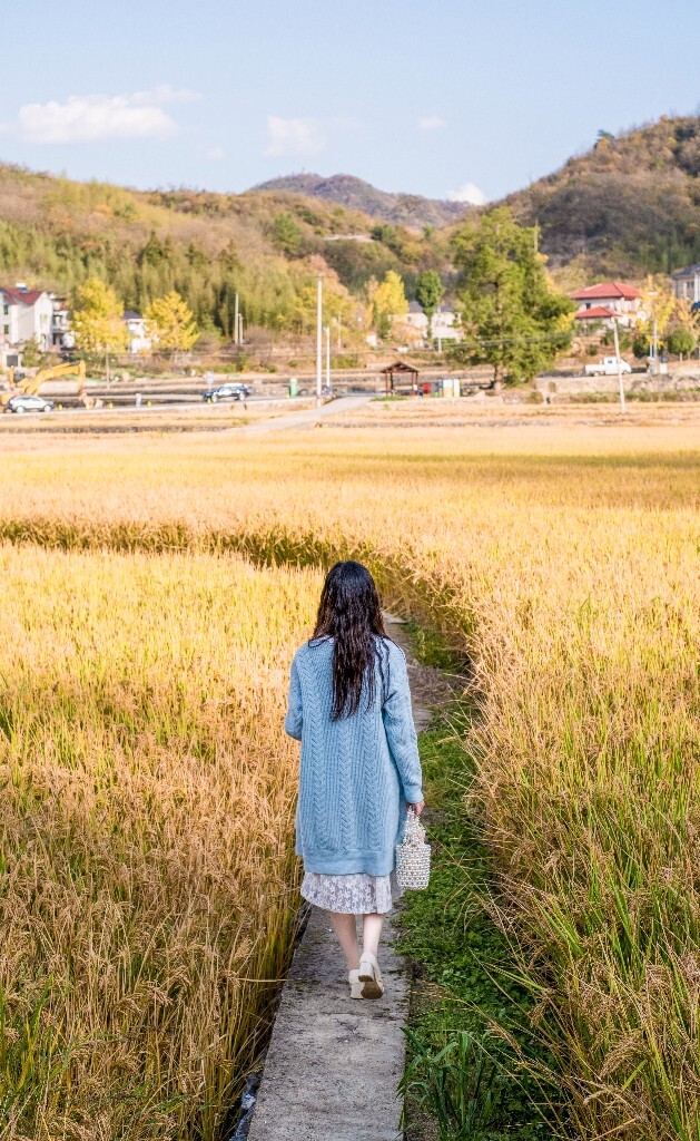 户外 写真 人像 稻田 风光 笛子 背影 模特