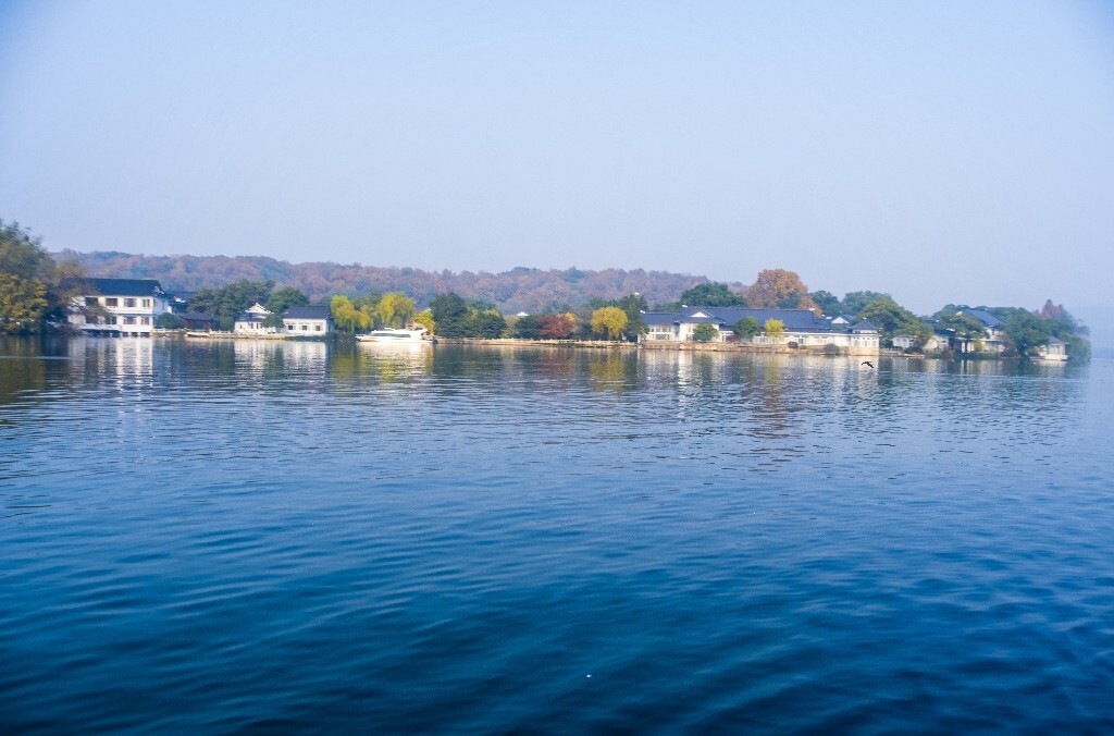 西湖水鸟 西湖风光 风光 西湖 风景 自然 湖水 图片 摄影