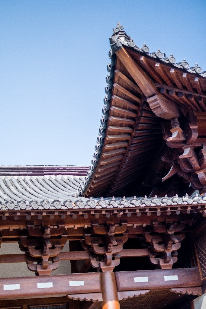 灯笼 建筑 摄影 旅行 德售宫 城市建筑 建筑物