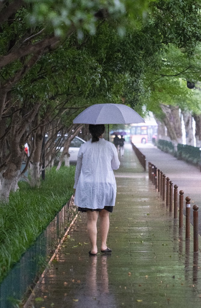 背影 摄影 人像 雨中 自然 旅行