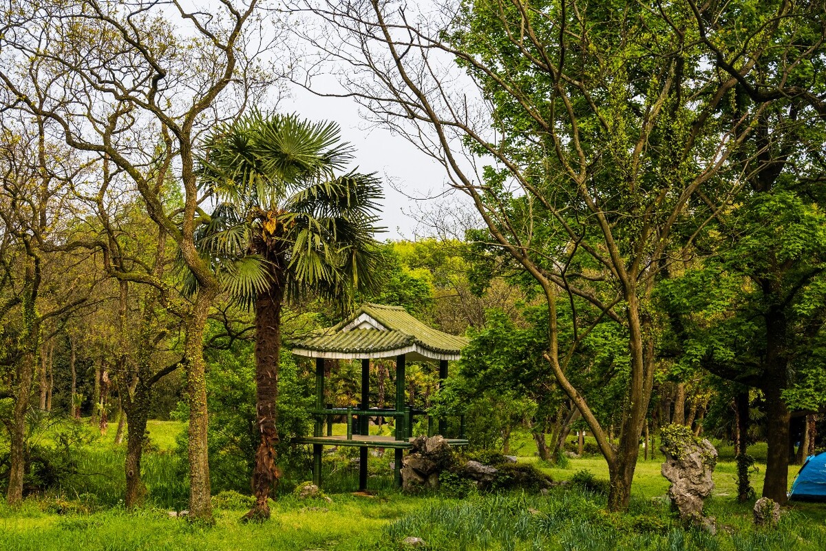 自然  风光 风景 摄影 素材   房子  小花 