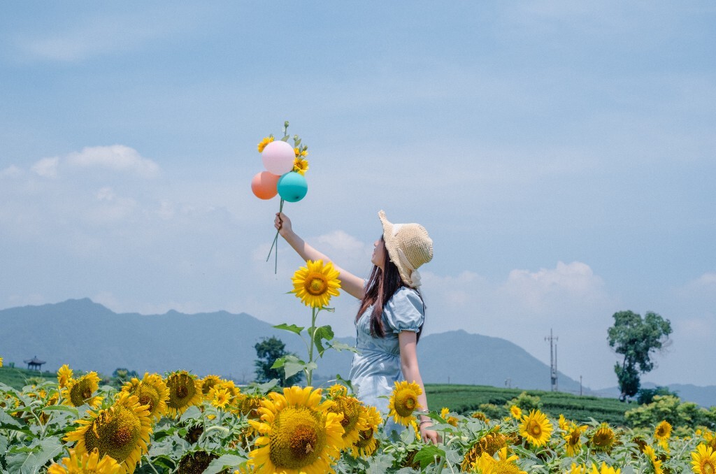 向日葵 花海 风光 自然 摄影 背影 转日莲 花儿 旅行 街拍 人像 美女