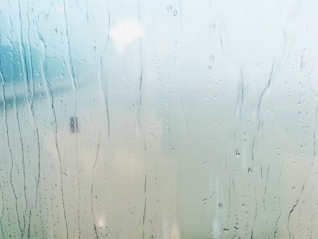 水珠 流水 摄影 自然 水 玻璃上的水 雨水