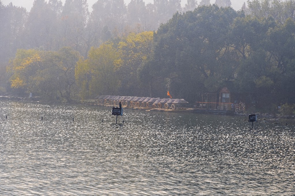 水鸟 西湖风光 自然风景 西湖 旅行 鸟儿 城市风光 杭州西湖