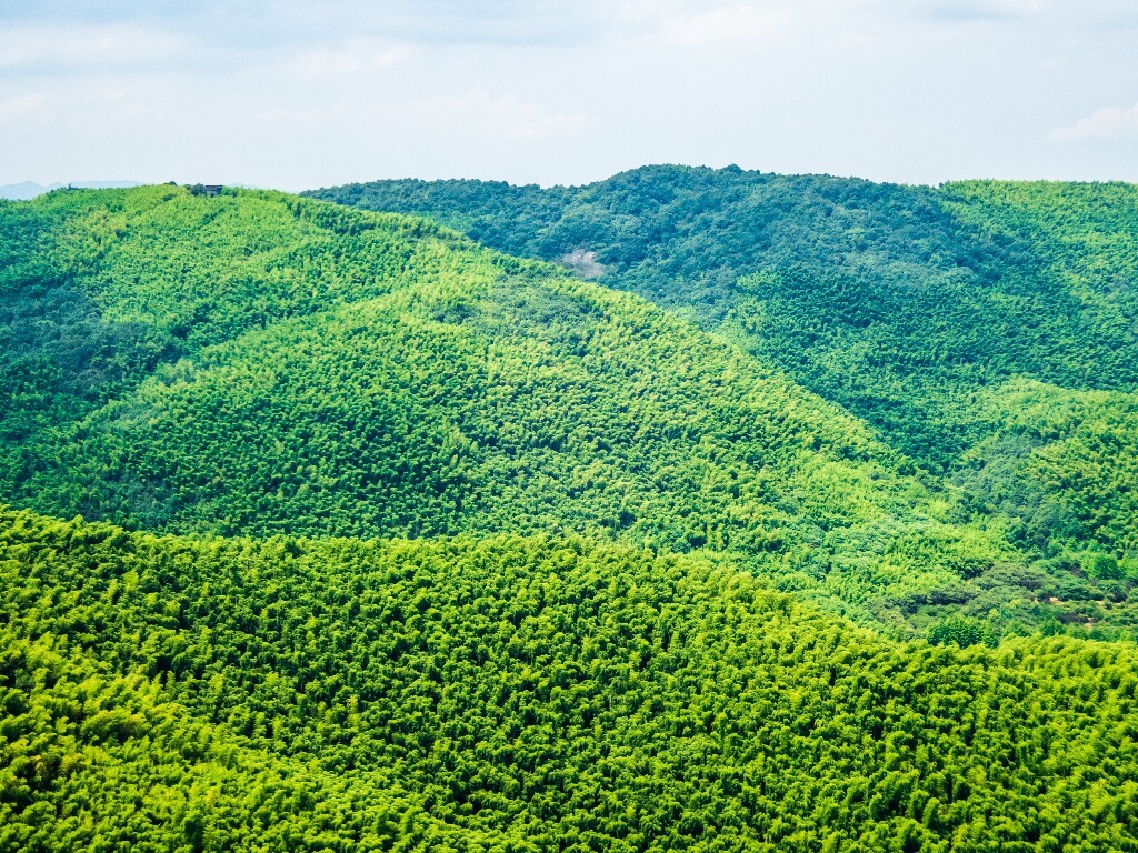 自然风光 风光 自然 旅行 摄影 草干山风光 山水 青山