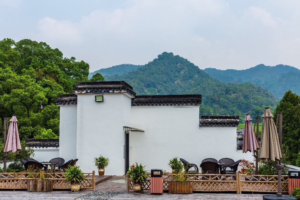 建筑 茶园风光 自然 风光 茶园 梅坞 摄影 旅行 梅坞庄园