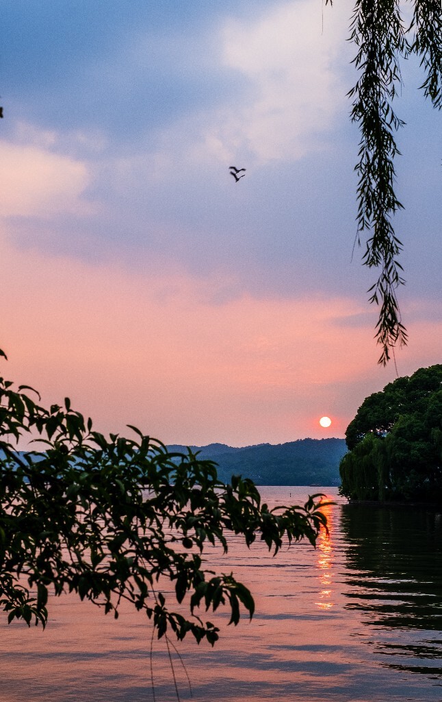 夕阳 西湖夕阳 风光 自然 日出日落 阳光 鸟 夕阳余晖 夕阳无限好 旅行