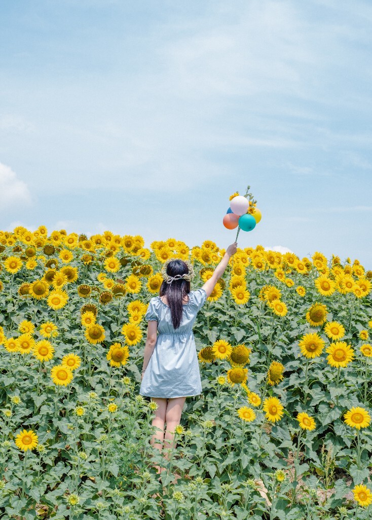 向日葵 花海 风光 自然 摄影 背影 转日莲 花儿 旅行 街拍 人像 美女