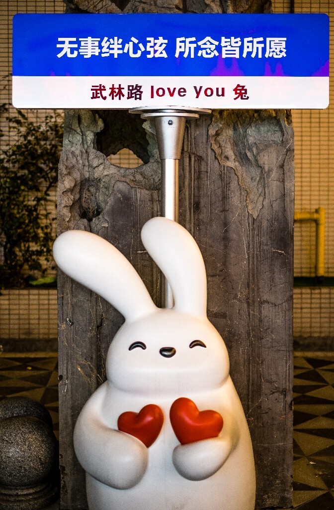 兔子 旅行 街拍  无事绊心弦 所念皆所愿  武林路 love you 兔子