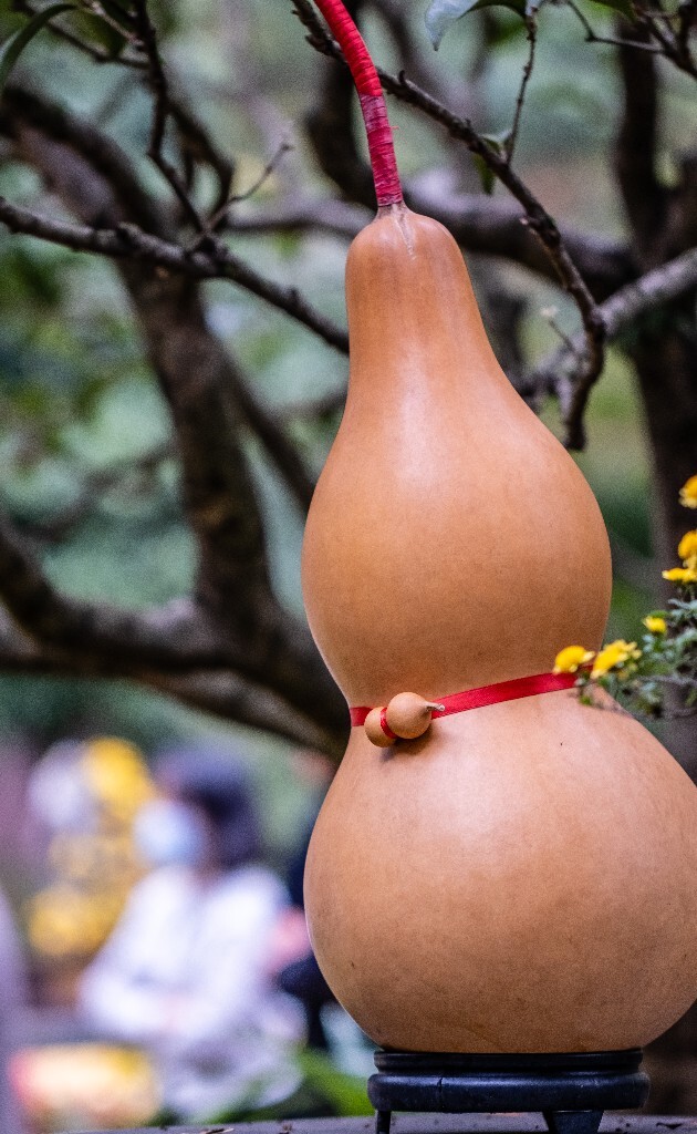 福禄 葫芦 菊花 旅行 风光  摄影  大葫芦小葫芦