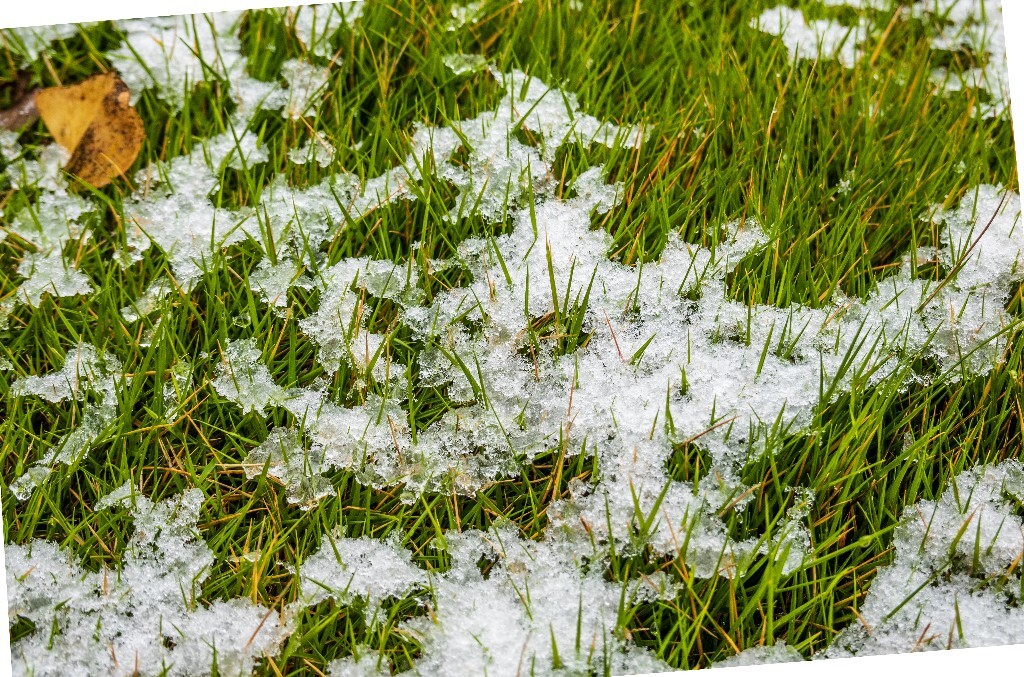 雪景 雪地 草地上的雪 自然 风光 自然 小草 草坪