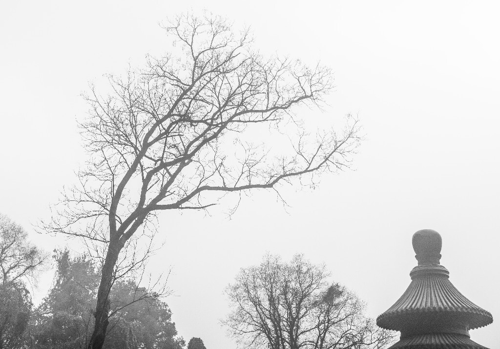 树木 建筑  风光 自然 旅行  城市