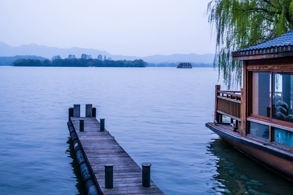 植物 风光 自然 摄影 西湖风光 旅行 西湖 植物 树木