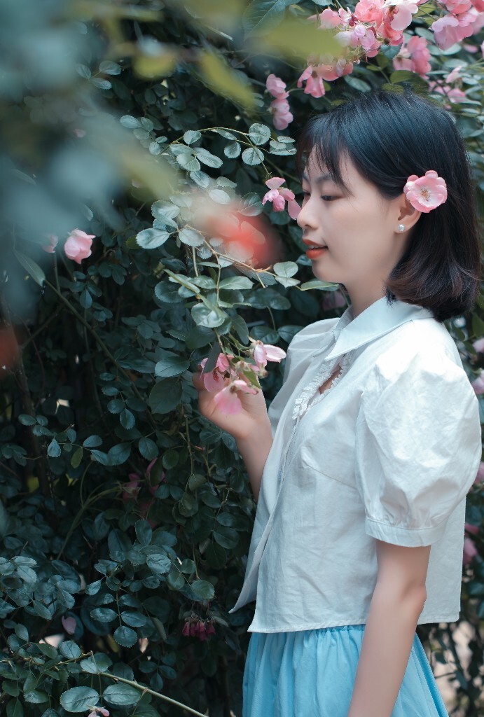 人像 小清新 日系 蔷薇花 风景 花朵 风光 自然 旅拍