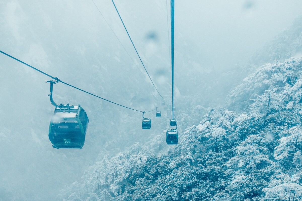 植物 雪景 大自然 自然 雪中的植物 白雪 黄山雪景 索道 黄山 森林雪景