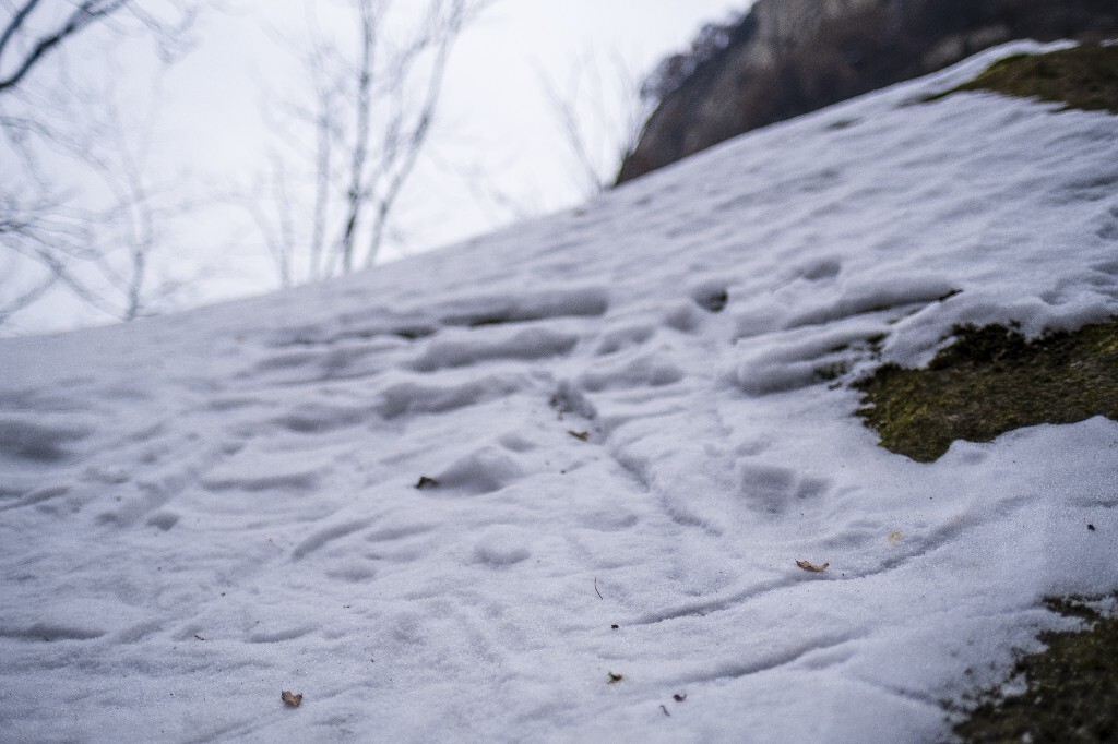 雪景 风光 自然 华山风光  山峰 山脉 华山雪景 自然  自然风光
