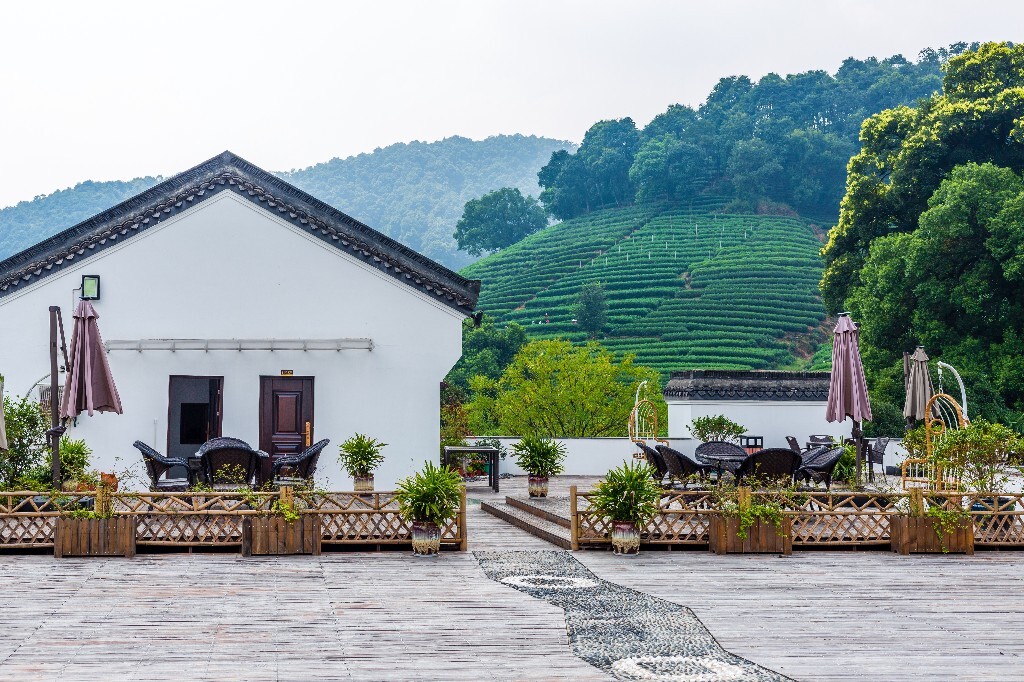建筑 茶园风光 自然 风光 茶园 梅坞 摄影 旅行 梅坞庄园行