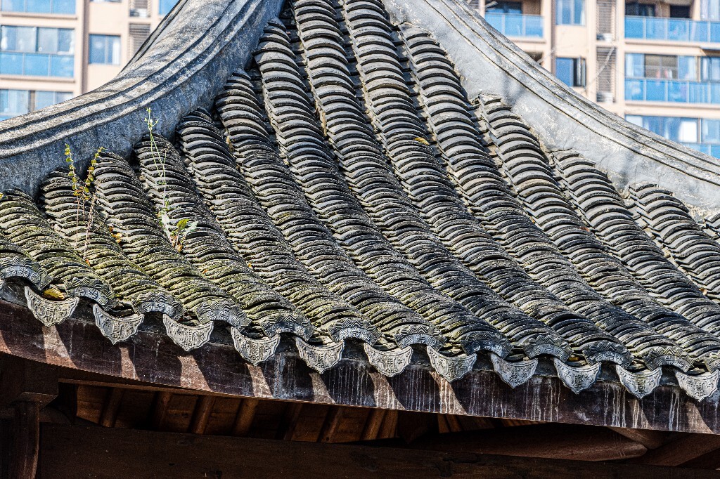建筑 房檐 瓦片 古建筑 老街 街道 彭埠老街 房屋 摄影
