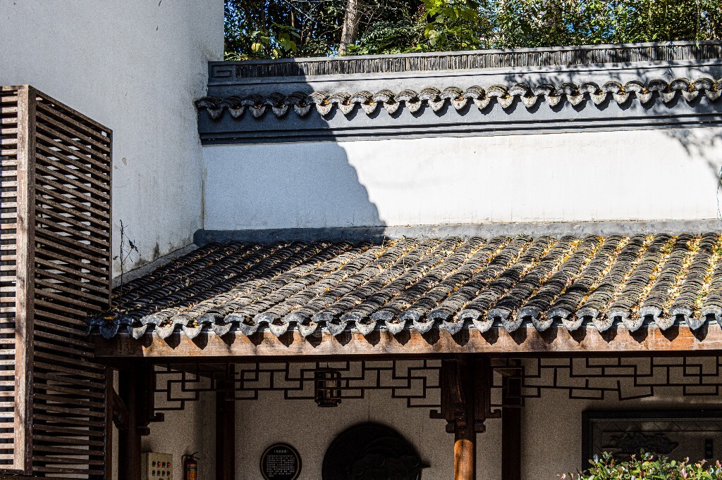 建筑 房檐 瓦片 古建筑 老街 街道 彭埠老街 房屋 摄影