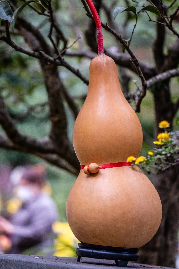 福禄 葫芦 菊花 旅行 风光  摄影  大葫芦小葫芦