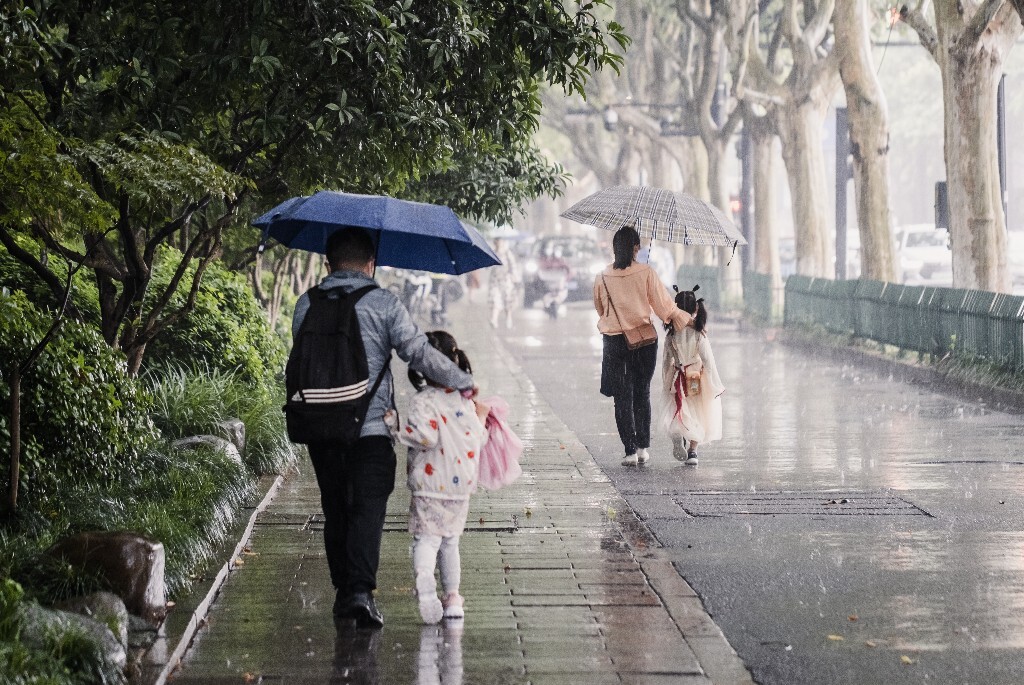 风雨中的呵护 陪伴 保护  靠近大树的小树苗 行人背影 人像 