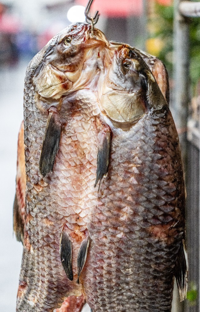 干鱼 鱼干 旅行 街道 摄影 食物 美食 美食摄影 腊味