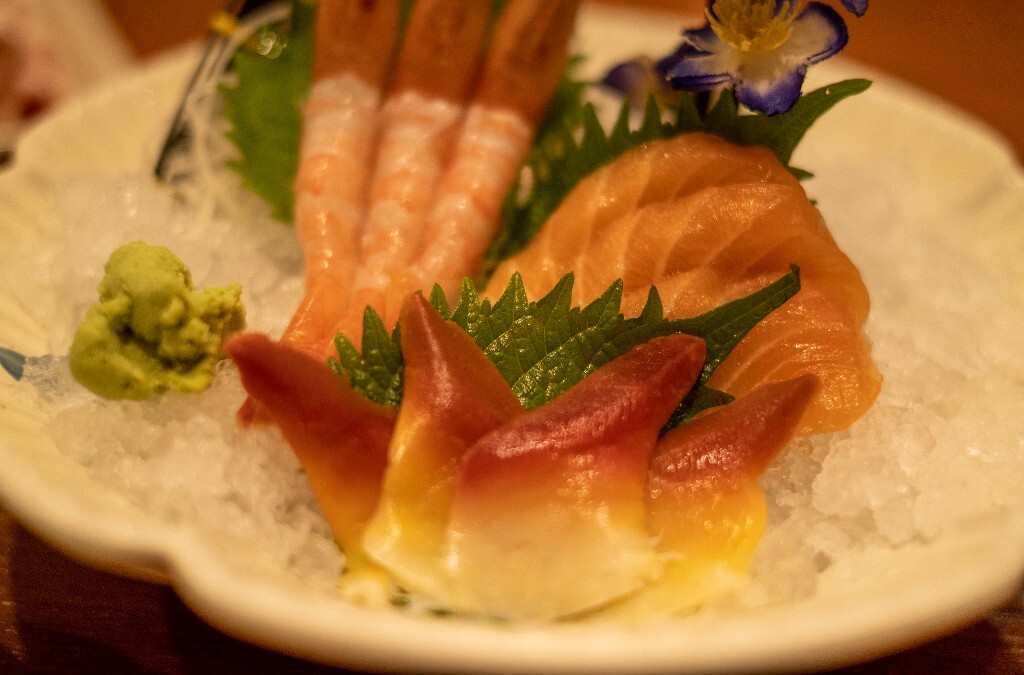 三文鱼 大马哈鱼 北鳟鱼 罗锅鱼 马哈鱼 麻糕鱼 日料 食物 美食 静物 美食摄影 旅行