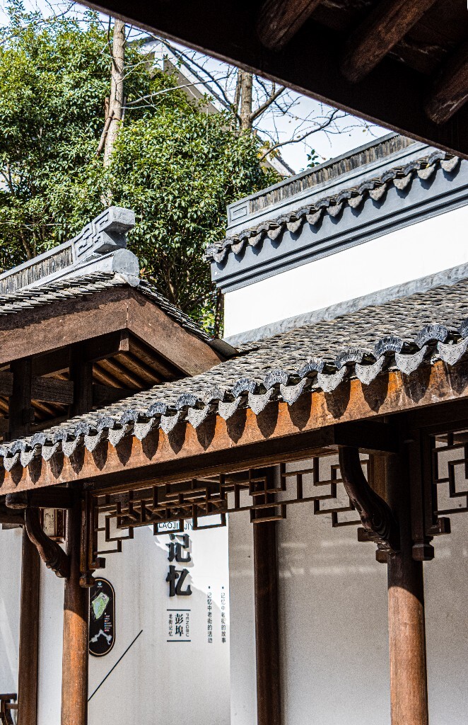 建筑 房檐 瓦片 古建筑 老街 街道 彭埠老街 房屋 摄影