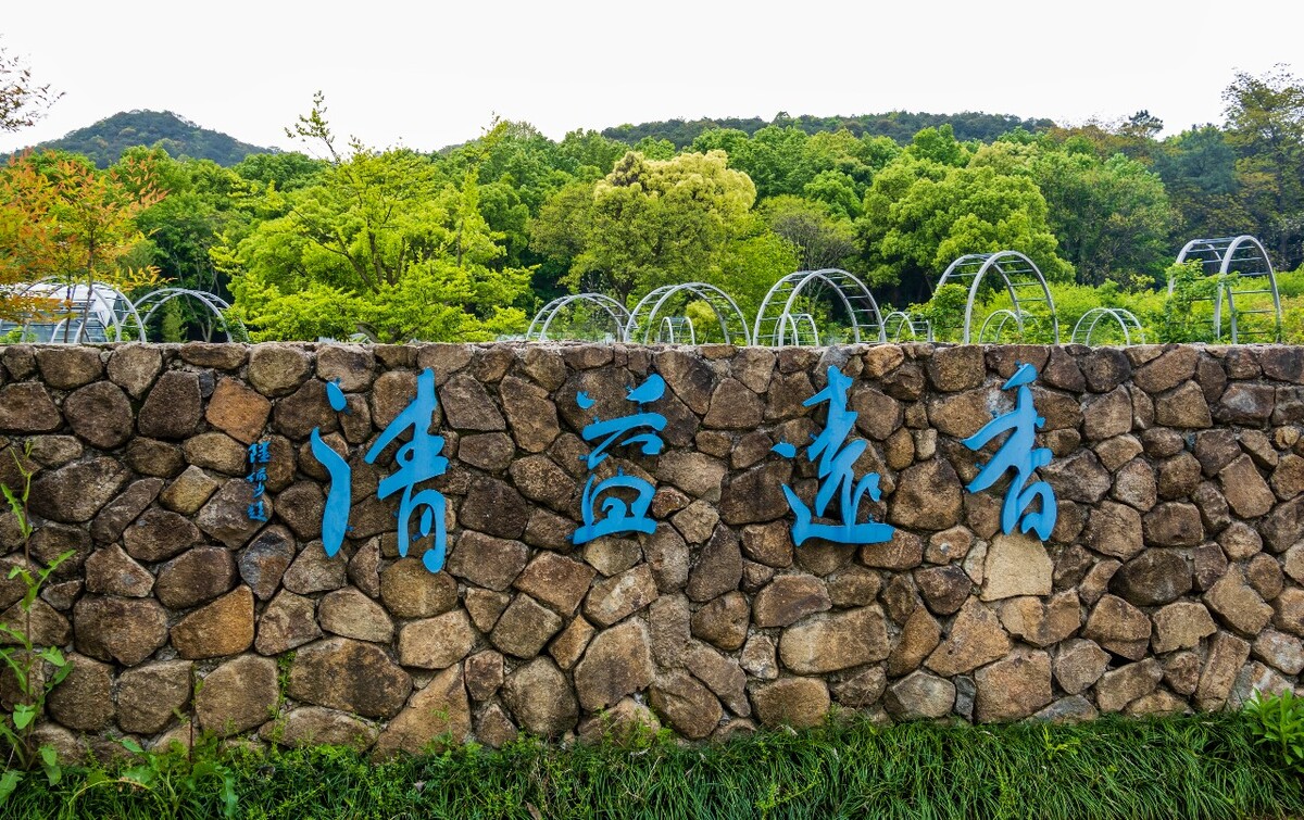 香远益清  自然  风光 旅行  摄影   户外