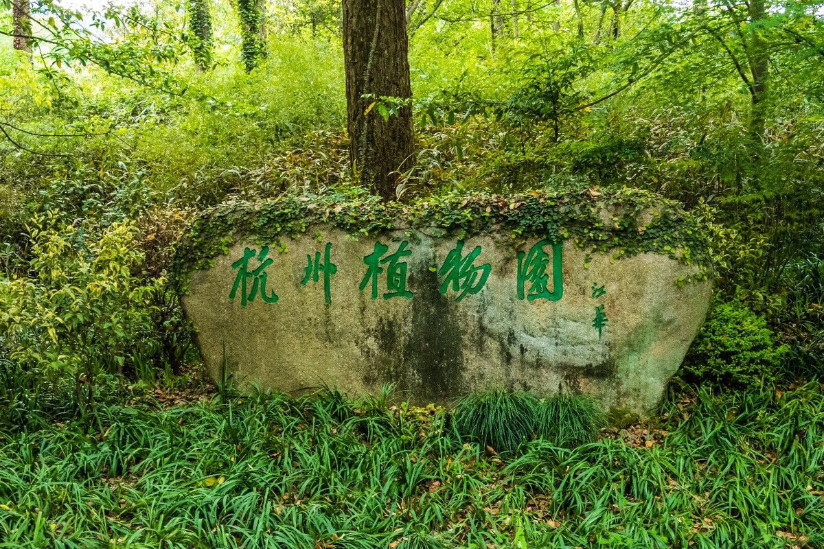 植物 植物园  风光 自然  摄影 旅行