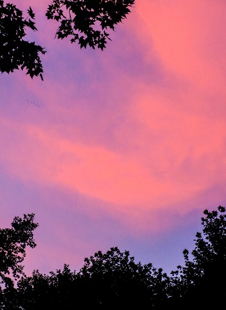 夕阳 天空 云彩 自然 日出日落 旅行 风光 色彩 自然风光