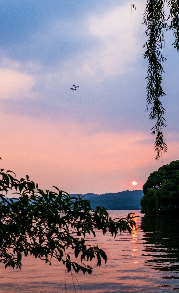 夕阳 西湖夕阳 风光 自然 日出日落 阳光 鸟 夕阳余晖 夕阳无限好 旅行