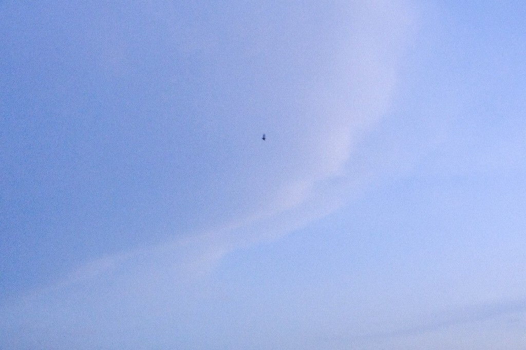 天空 云彩 蓝天白云 日出日落 夕阳 色彩 云 摄影 风光 自然