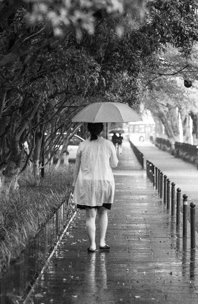 背影 摄影 人像 雨中 自然 旅行 黑白