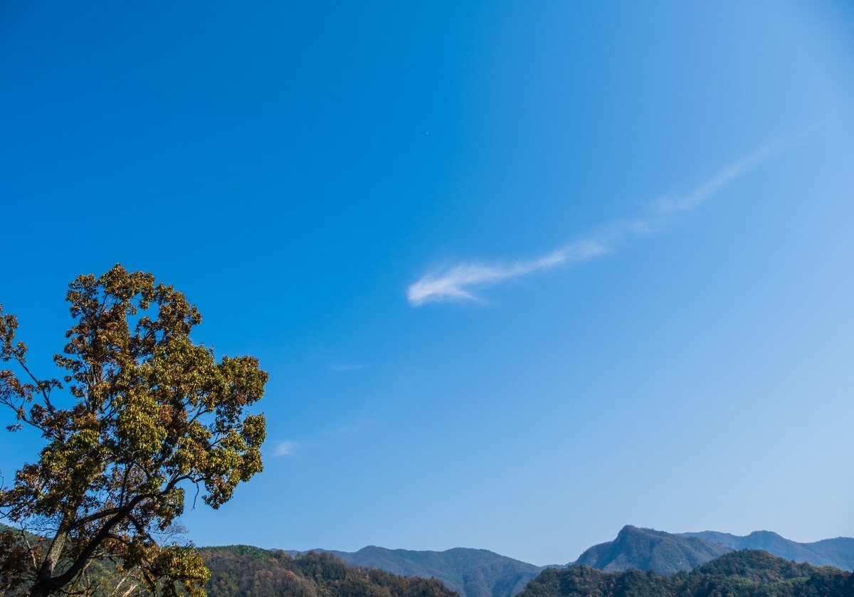蓝天白云 天空云彩 摄影 素材 天空 云彩 风光 旅行 风光 白云 树木
